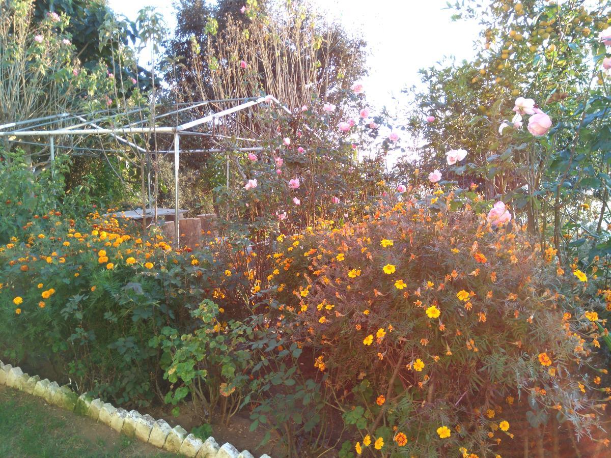 Maa Ananda Mayee Guest House Binsar Exterior foto