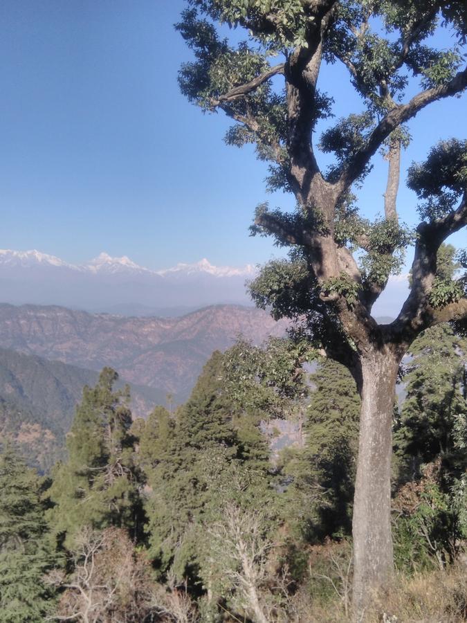 Maa Ananda Mayee Guest House Binsar Exterior foto